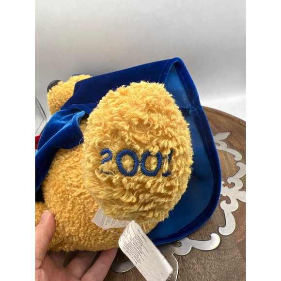 Walt Disney Winnie the Pooh 2001 Graduate Bear Soft Plush Toy Bear - Picture 11 of 16